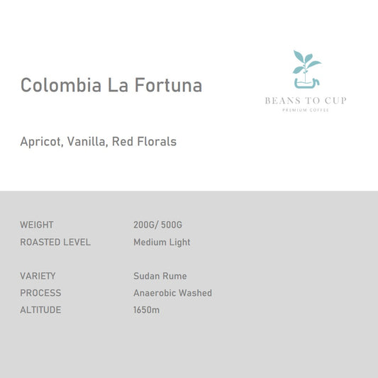 Colombia La Fortuna