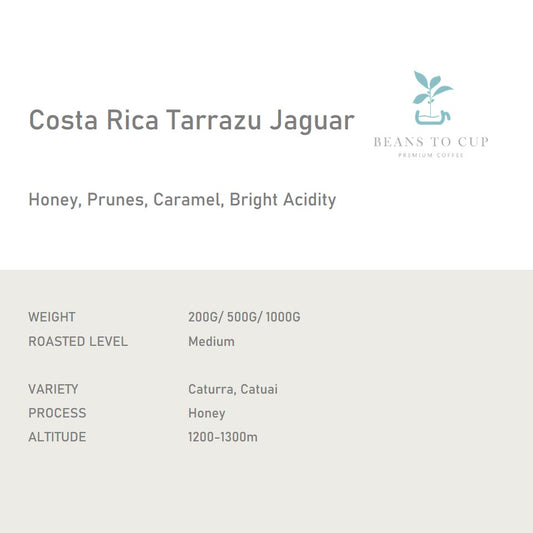 Single Origin- Costa Rica Tarrazu Jaguar
