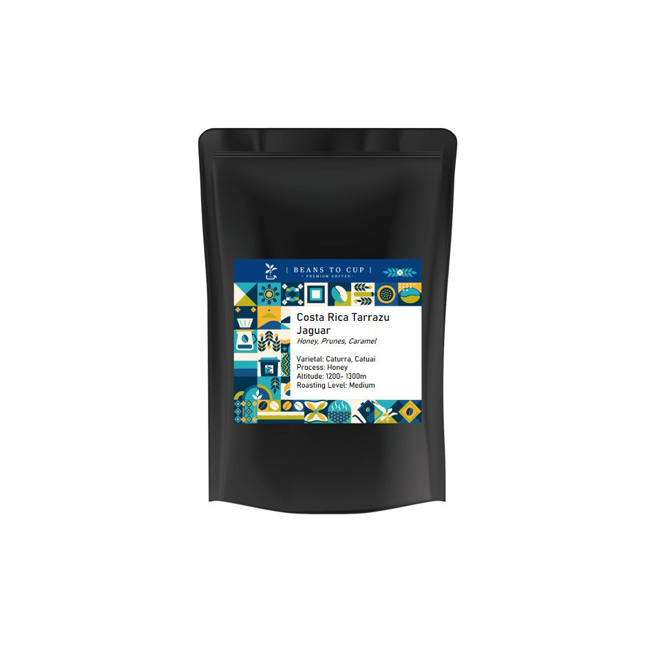 Single Origin- Costa Rica Tarrazu Jaguar