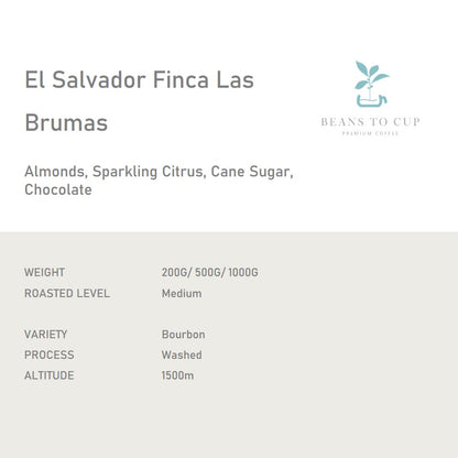 Single Origin- El Salvador Finca Las Brumas