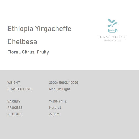 Ethiopia Yirgacheffe Chelbesa