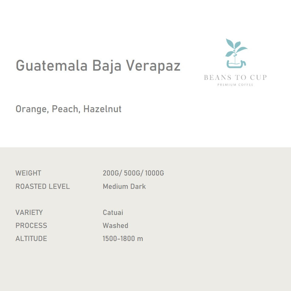 Single Origin- Guatemala Baja Verapaz