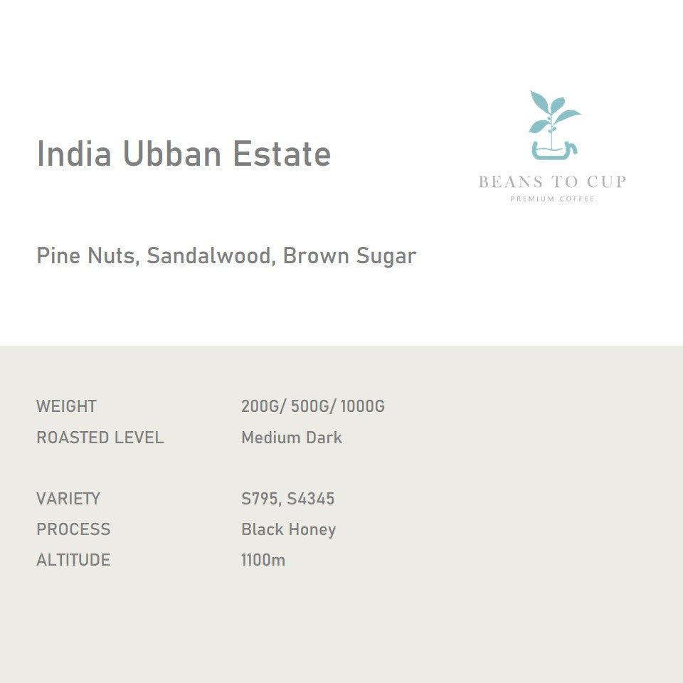 Single Origin - India Ubban Estate