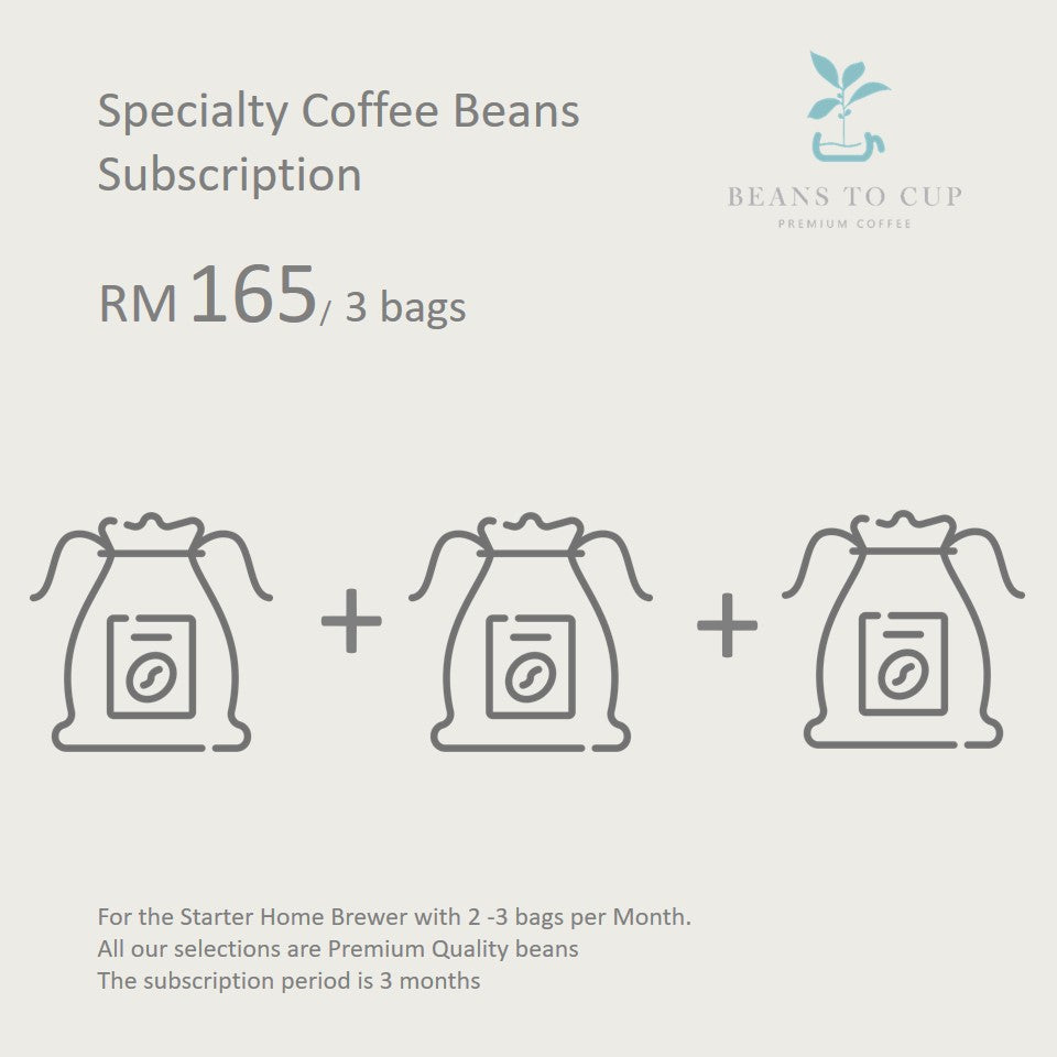 Specialty Single Origin Beans Subscription- Medium