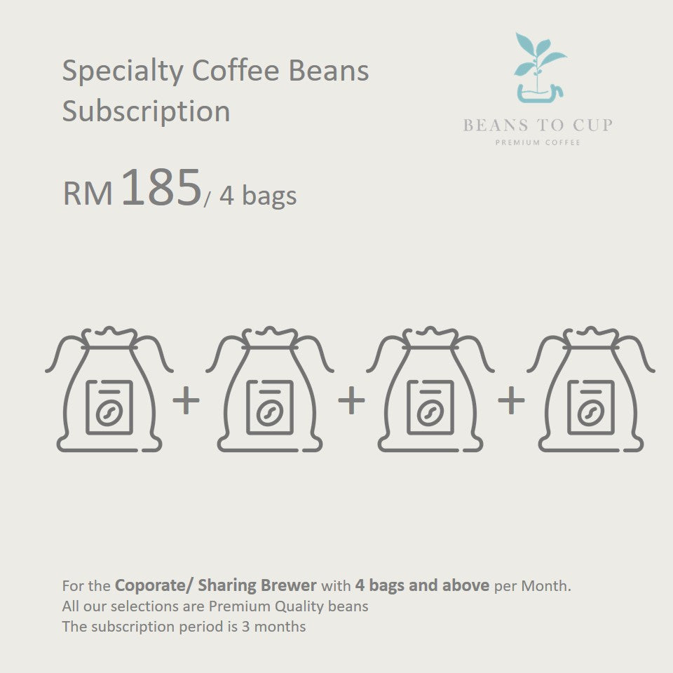 Specialty Single Origin Beans Subscription- Medium